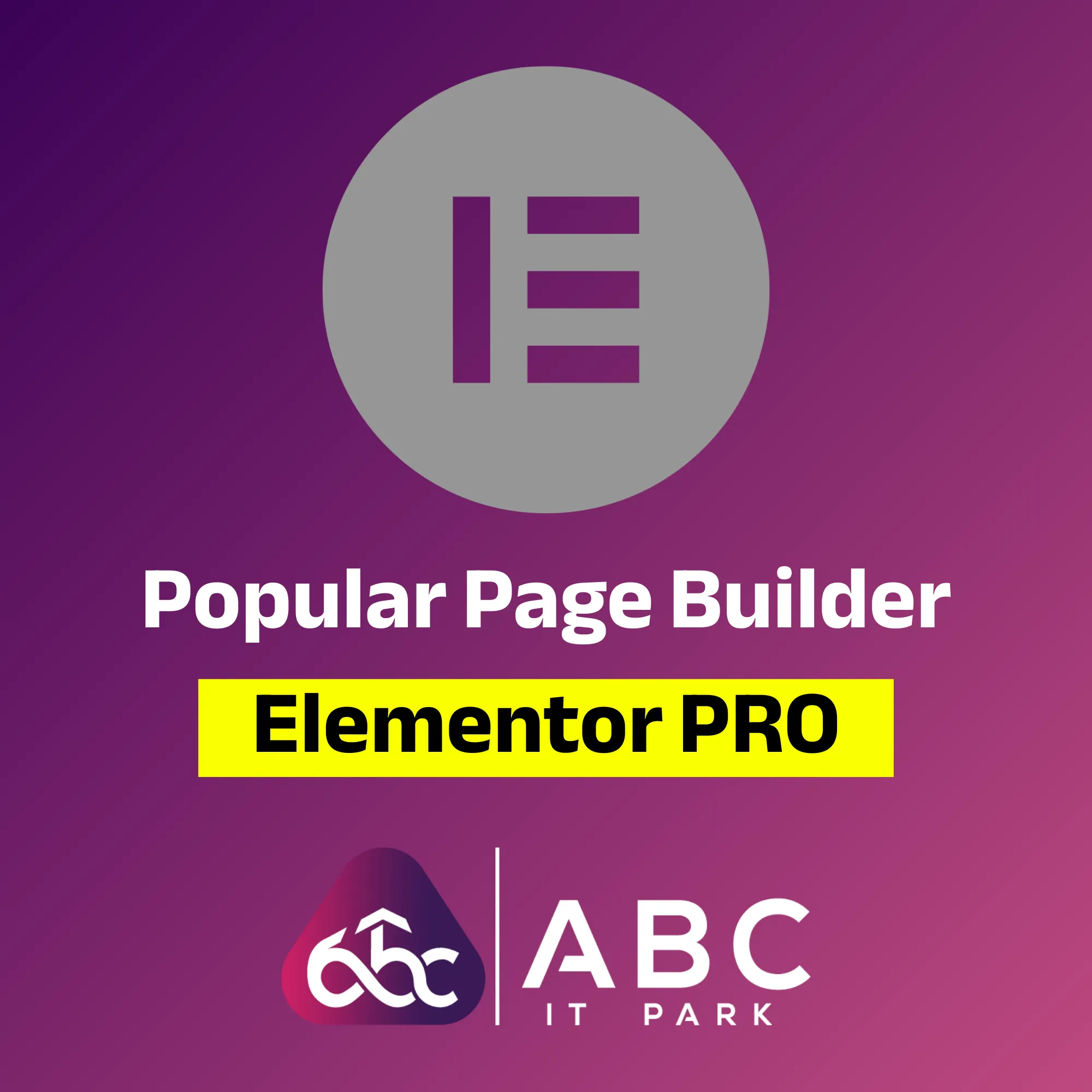 Elementor Pro For 1 Website (365 Days Validity)